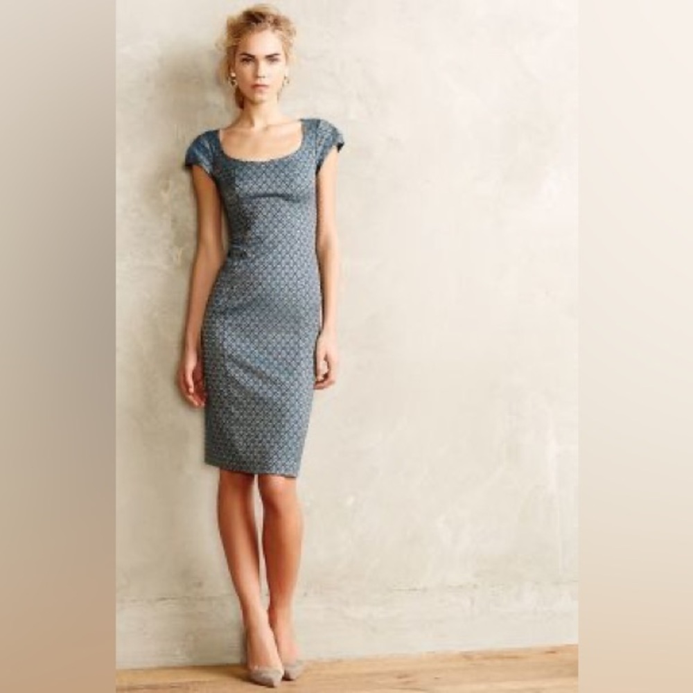EUC Anthropologie Tapestry Dress by Paper Crown